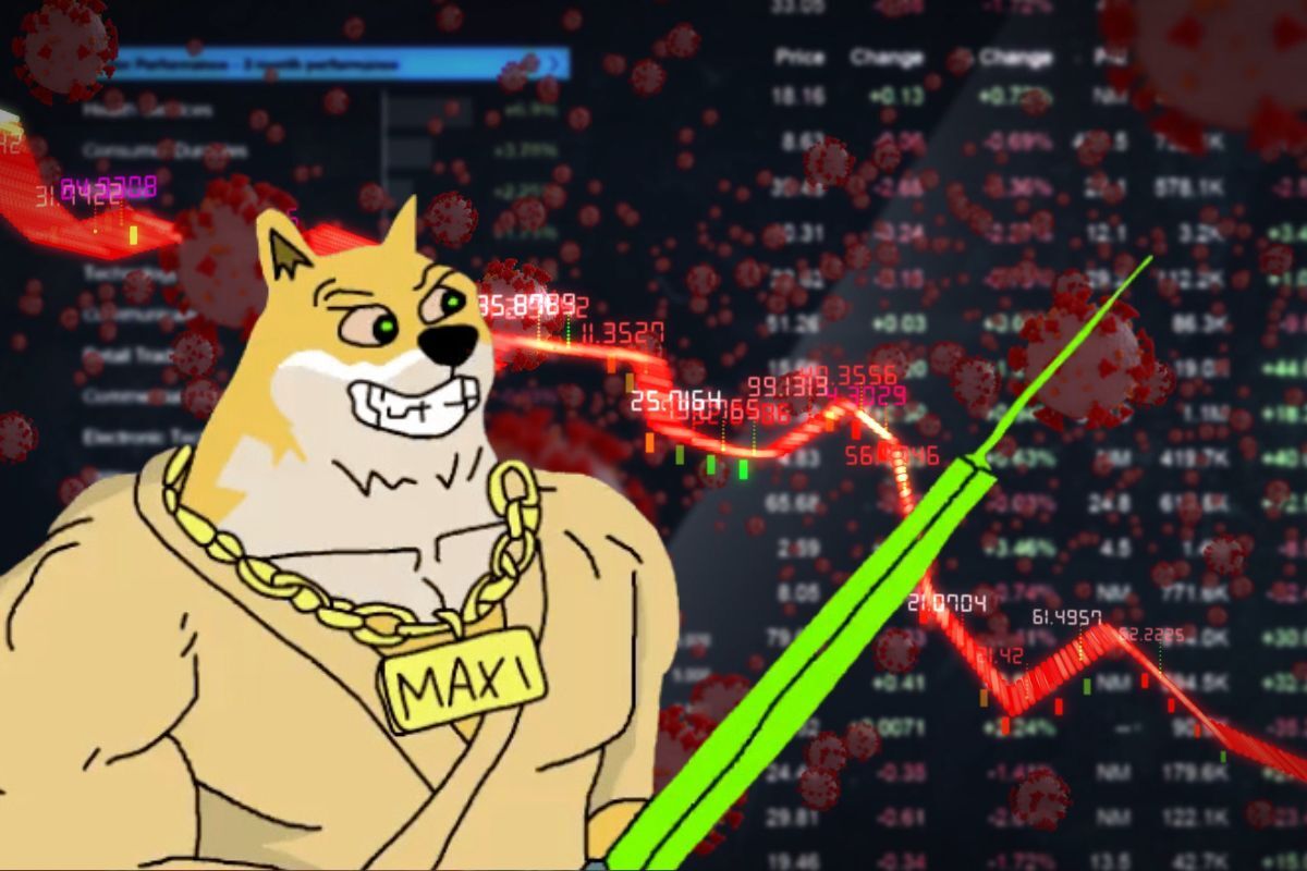 maxi doge