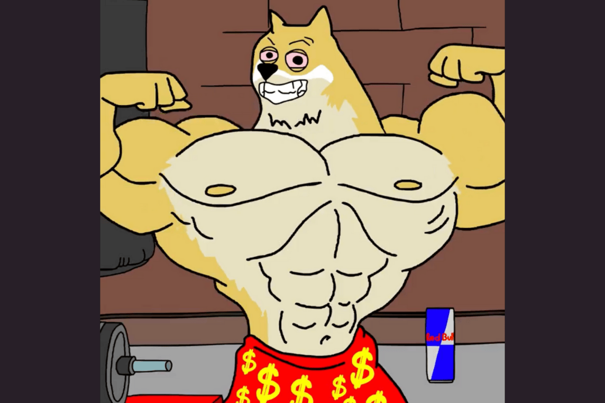 maxi doge