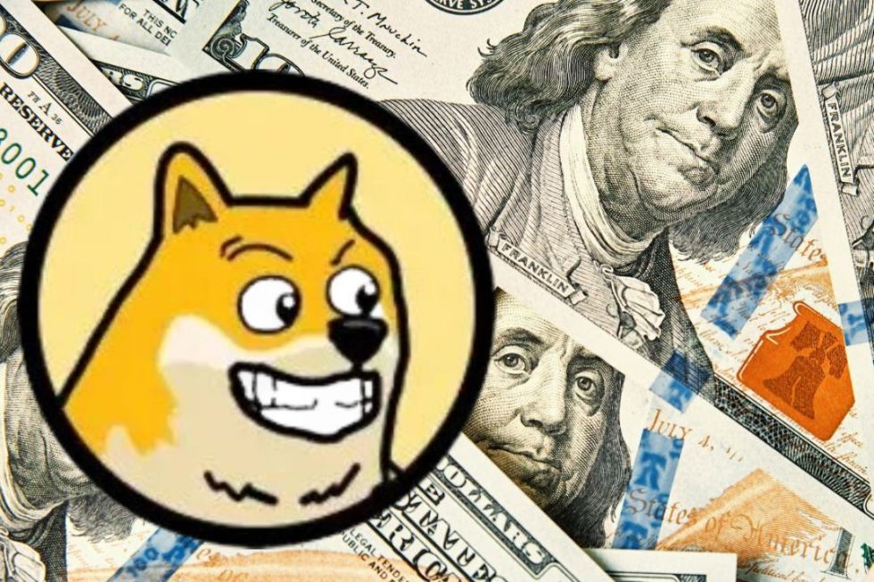 maxi doge market