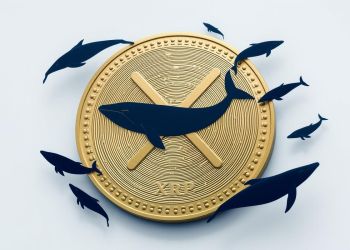 เหรียญ XRP ขนาดใหญ่พร้อมเงาวาฬที่กำลังว่ายอยู่รอบๆ สะท้อนถึงกิจกรรมของวาฬในตลาด XRP