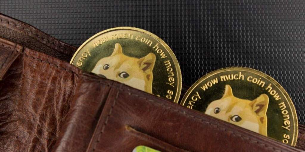 Важни съвети и чести грешки при покупка на Shiba Inu