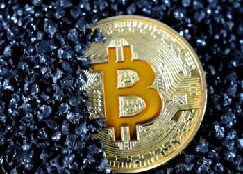 Братья Уинклвоссы инвестируют BTC в майнинговый проект, связанный с Трампом