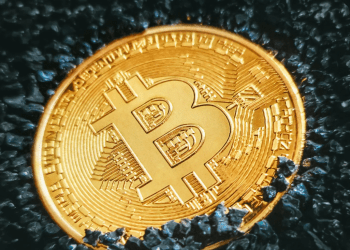 Предупреждение о пике цикла Bitcoin: эксперт считает, что BTC может быть близок к своему максимуму