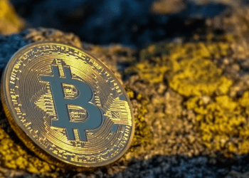 США накопили Bitcoin на $24 млрд, отказавшись от дальнейших закупок