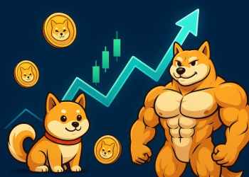 シバコイン 今後：蓄積フェーズが巨大なブレイクアウトを引き起こす可能性