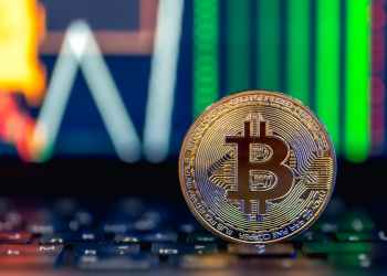 ビットコイン 今後の展望と市場動向：技術革新と新興トークンの影響