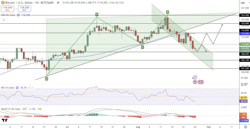 ビットコイン 今後の長期的視点