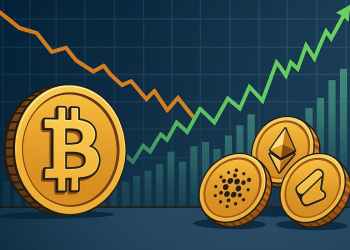 ビットコイン 今後予測：アルトコインが急伸する中でBTCはなぜ停滞しているのか