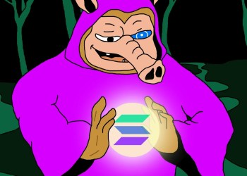 솔라나 밈코인