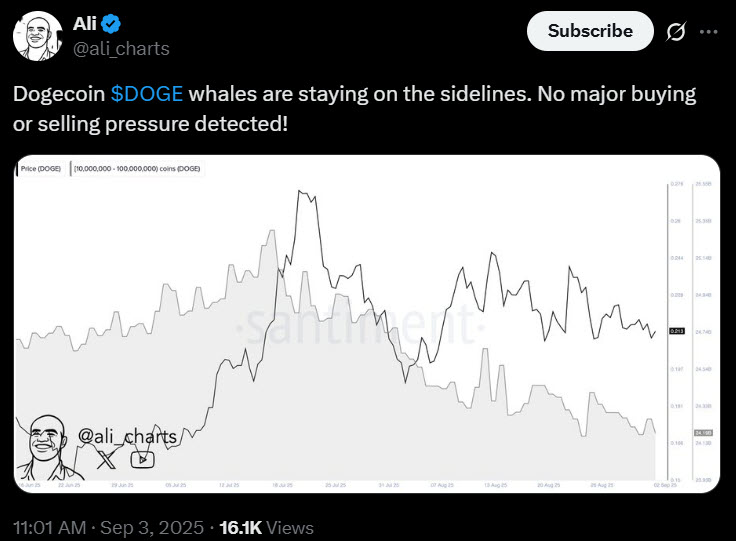 ลุ้นทะยาน $1! Dogecoin รับข่าวดีตั้งกองคลังมูลค่า 175 ล้านดอลลาร์
