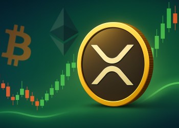 リップル 今後：SEC承認後、ビットコインからXRPへの資金回転が期待される