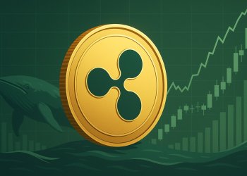 7億ドル相当のクジラ移動が波紋──ウォール街は水面下で買い集めているのか