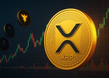 リップル 今後：NIGHTエアドロップが開始 – XRP保有者は無料トークンを請求できるのか？