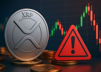 Ripple CTOが緊急警告、投資家は「ラグプル」に狙われているのか