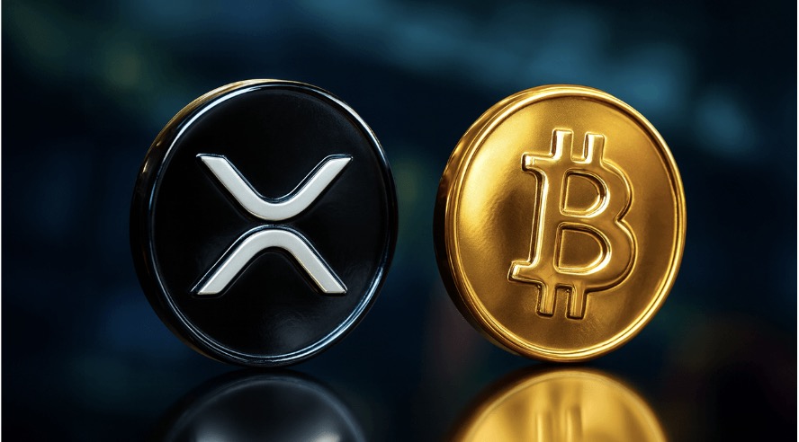 Amidst XRP and BTC Fluctuations, Contract Demand Heats Up — Opportunities and Explorations for OPTO Miner