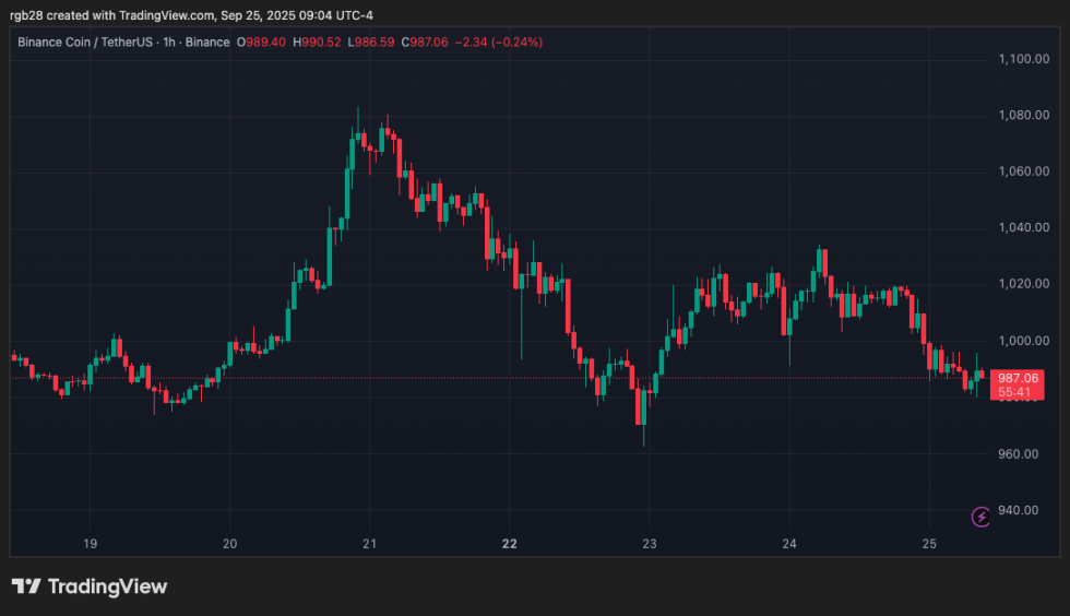 BNB Chain, BNB, BNBUSDT
