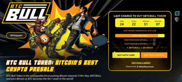BTC Bull Token presale info.