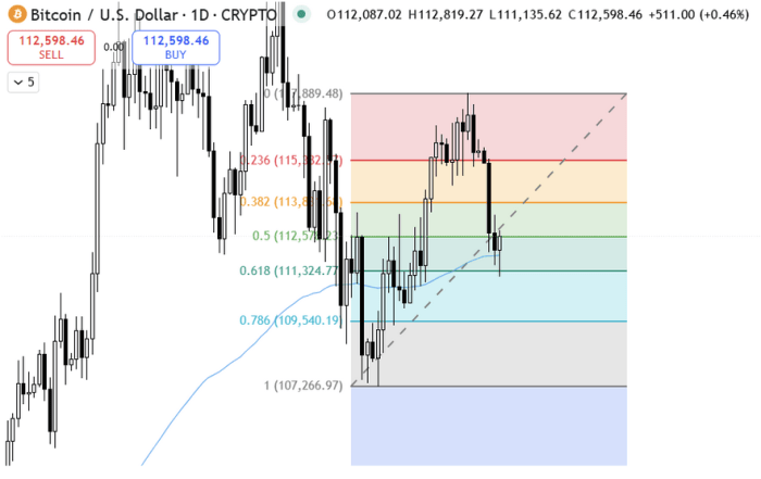 $BTC finding support at the 0.618 Fib level and the 100 EMA
