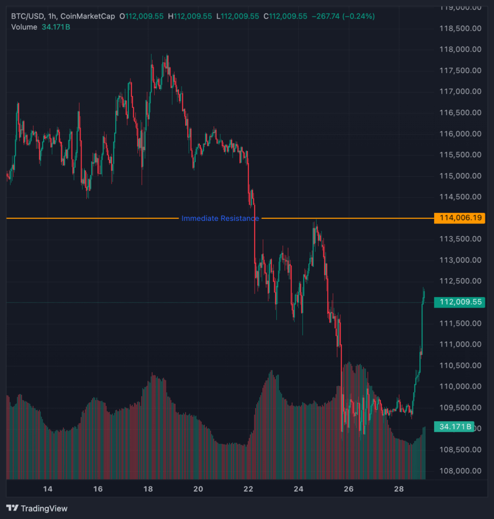 ビットコイン価格は再上昇、しかしボラティリティは健在