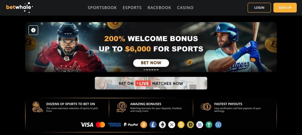 BetWhale – Crypto-Friendly Sportsbook with World Cup Markets