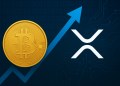 Nowa fala adopcji kryptowalut