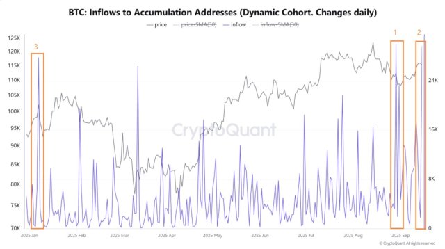 Bitcoin Accumulation Addresses Hit Record Inflows Before Fed Interest Rate Verdict, Another Major Rally Brewing?