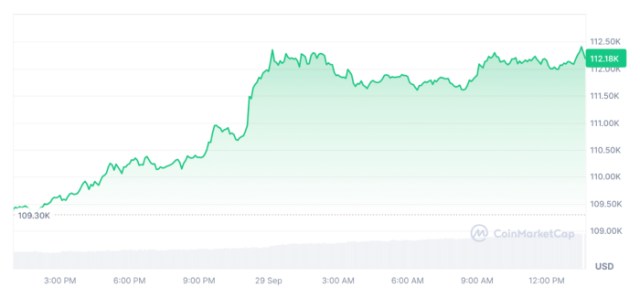 Bitcoin price chart