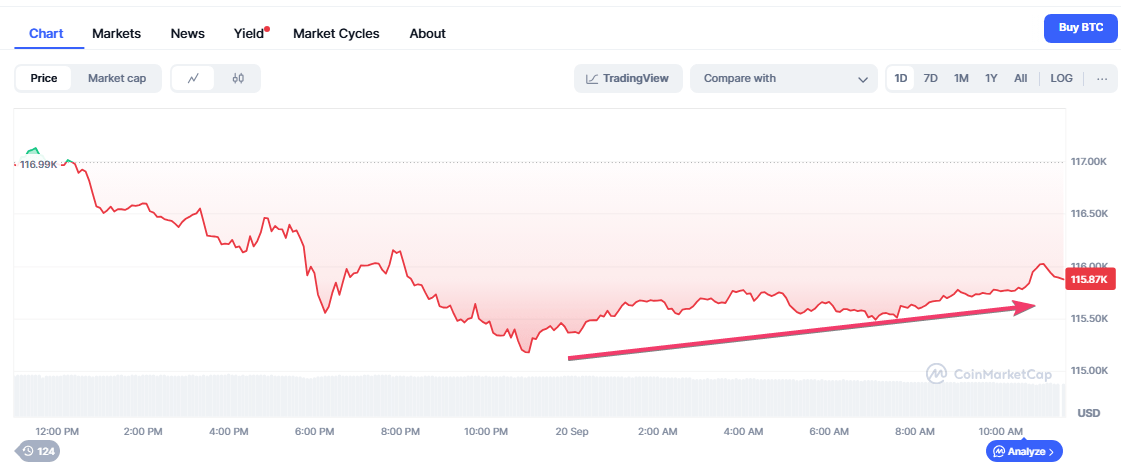 Bitcoins Preisbewegung in den letzten 24 Stunden