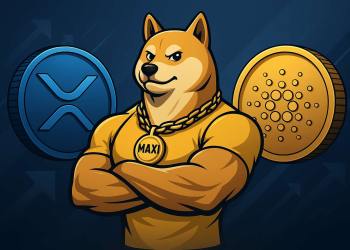 Các đồng coin tiềm năng