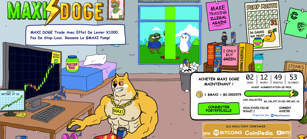 maxi-doge