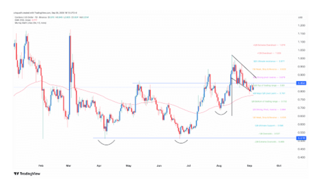 Best Altcoins to Buy as Cardano Charts Turn Bullish - Coin Surges