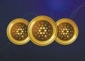 Cardano