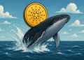 Crypto whales kopen massaal Cardano - ADA koers analyse na crypto crash
