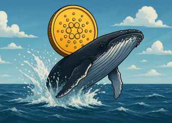 ADA koers houdt stand ondanks $140M whale uitverkoop – cardano bull run onderweg?