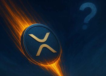 XRP koers waarschuwing - crypto analisten wijzen op mogelijke Ripple crash