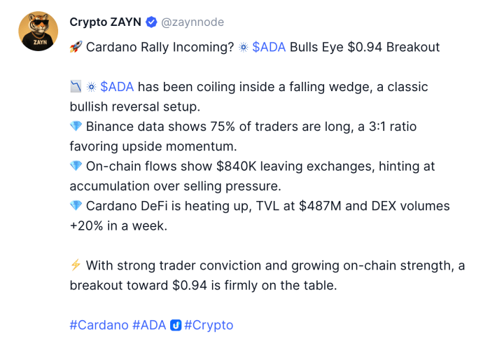 O analista de criptografia @zaynnode explica por que uma manifestação do Cardano pode estar a caminho.