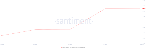 Here’s How Much Dogecoin Whales Bought In Only One Week