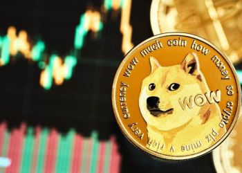 Dogecoin scade cu 17,68%, capitaluri uriașe se îndreaptă spre noile monede-meme