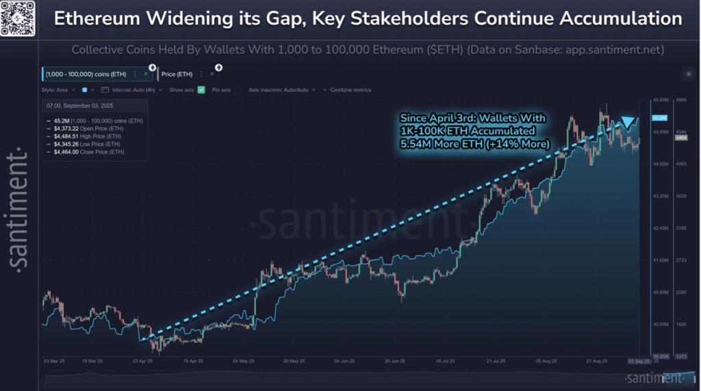 กราฟ Ethereum สะสมเพิ่มโดยกระเป๋าใหญ่ต่อเนื่อง