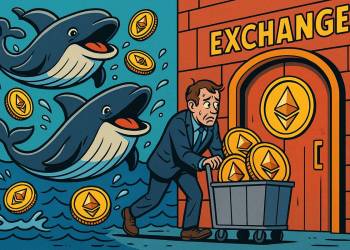 วาฬสะสม Ethereum ขณะผู้ร่วมก่อตั้งโอนเหรียญเข้าเทรด