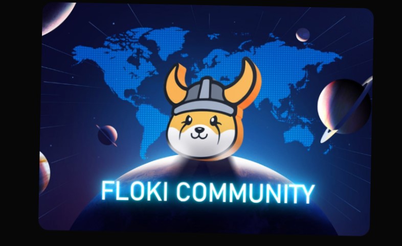 Najczęstsze błędy przy zakupie Floki
