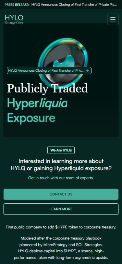 HYLQ Strategy Corp. akcje kryptowalut