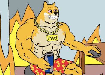Q4の仮想通貨おすすめ：成長余地の大きい新しいアルトコインが投資家の関心を集める