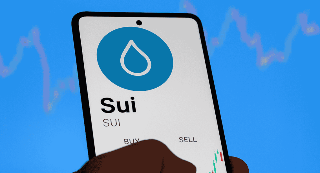 Satış İşlemleri Alındıktan Sonra SUI Nasıl Satılır