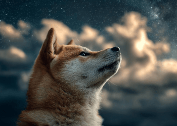 柴犬幣整合Chainlink預測119%上漲　Maxi Doge成下個百倍迷因幣熱點