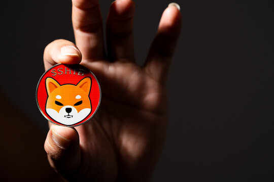 Shiba Inu group guarantees delicate migration submitted, here is the coming