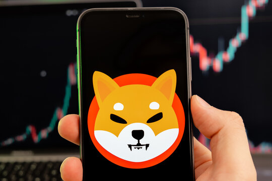 Shiba Inu Bulls are back: Here is 512 Billion Shib