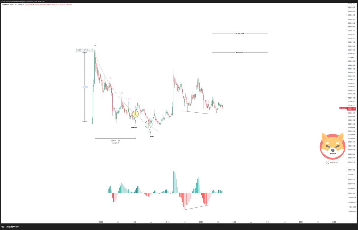 Shiba im Preis im Preis