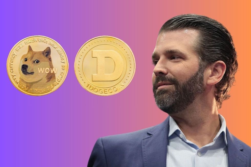 Thumzup Media doge