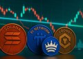 Top 50 Coins See Major Losses While Zexpire & Stablecoins Hold Steady